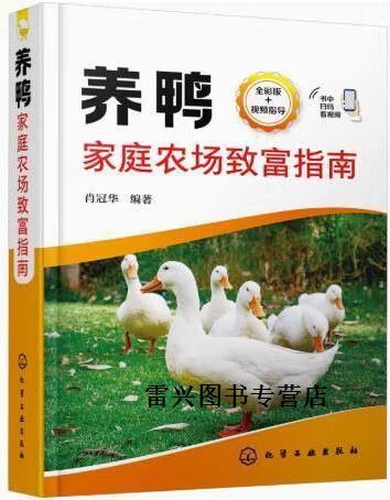 养100只鸭子利润缩略图