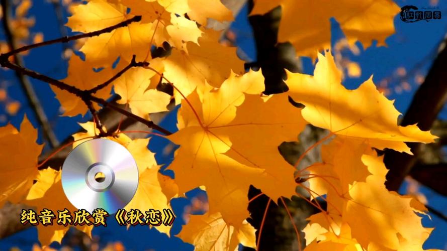 有声小说在线收听恋听网缩略图