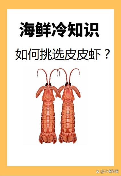 皮皮虾怎么赚钱缩略图