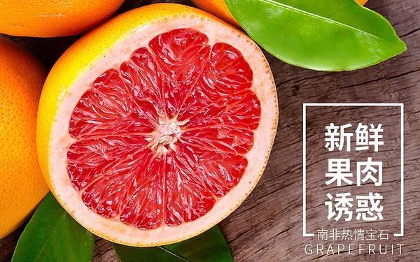西柚登录网页入口图标