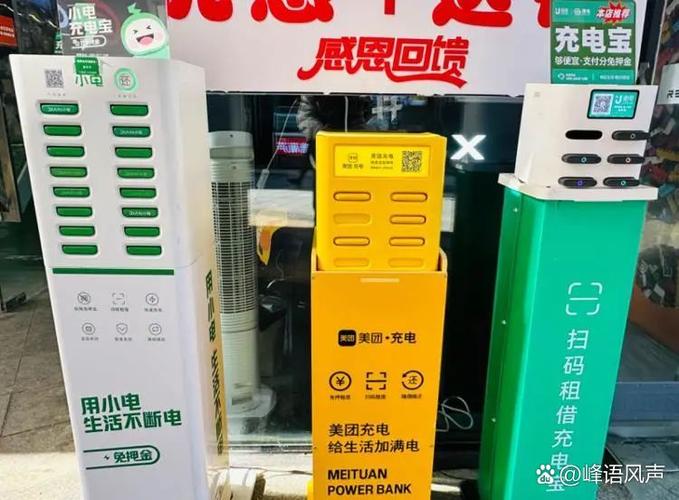借充电器扣99元了还要还充电宝吗缩略图
