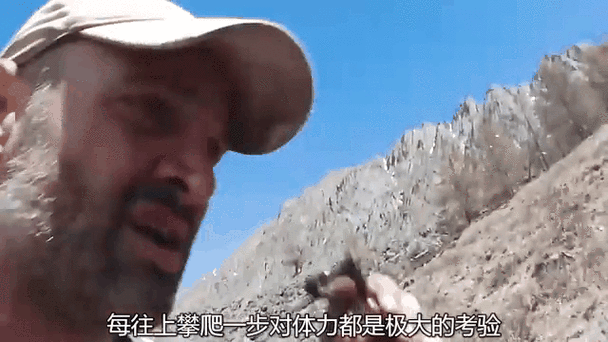 挨饿荒野一家人资源图缩略图