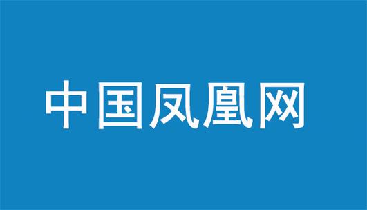 凤凰官网电脑版游戏截图