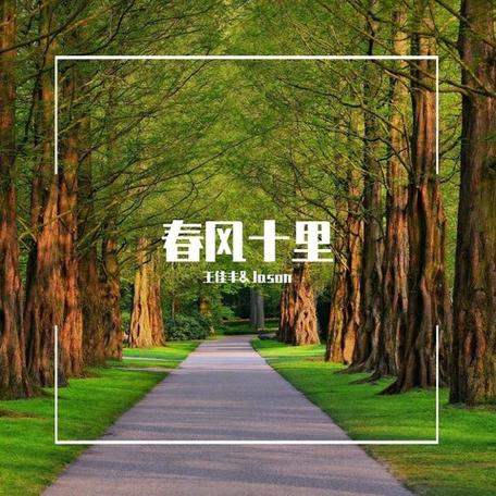 春风十里歌曲表达游戏截图