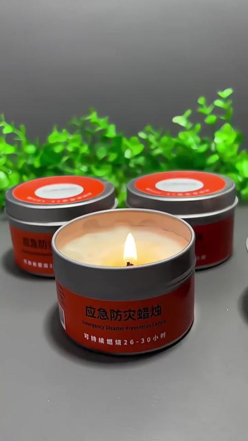 蜡烛可以燃烧多久游戏截图