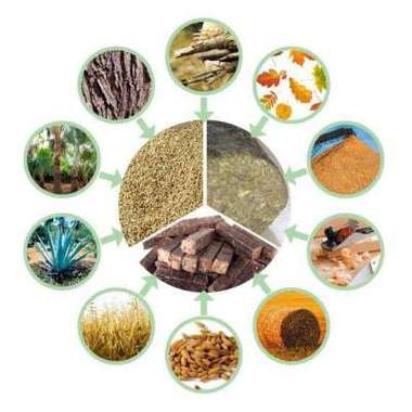 生物质燃料缩略图