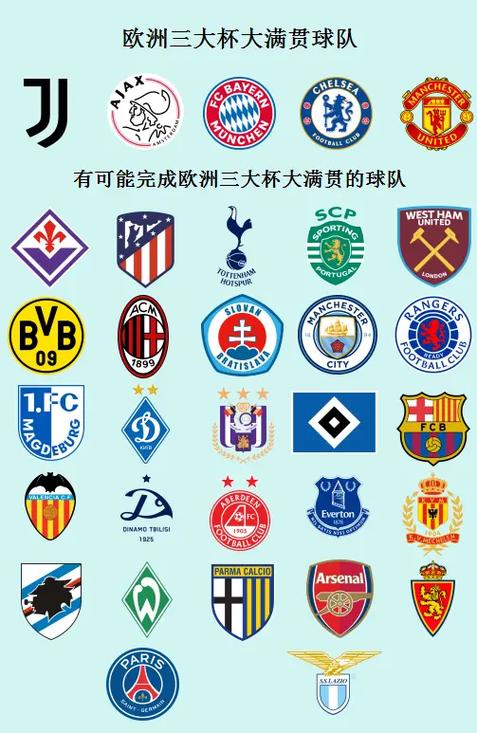 欧洲三大杯赛区别游戏截图