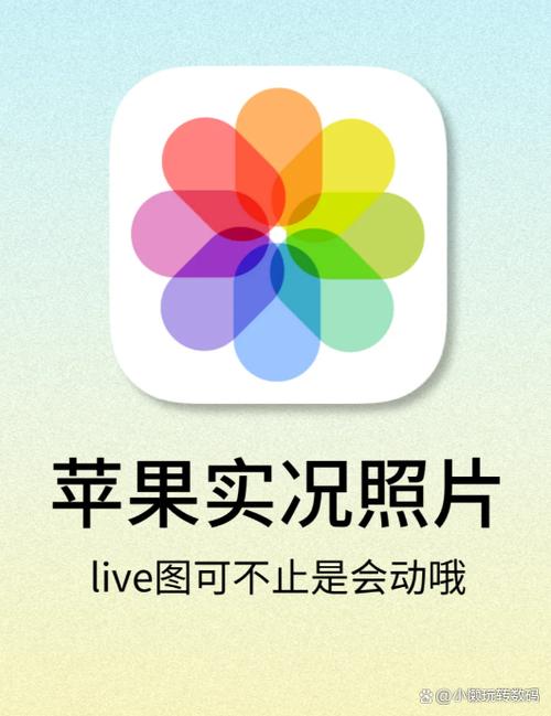 iphone地点相册封面删不掉缩略图