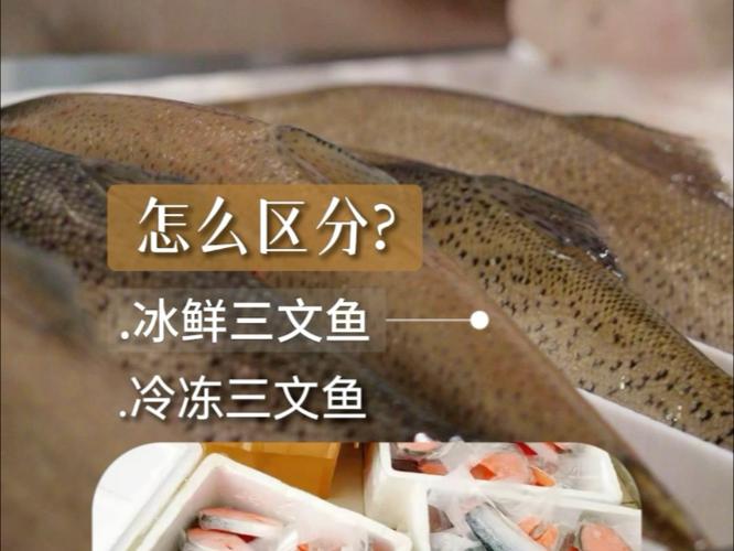 三文鱼冷藏还是冷冻缩略图