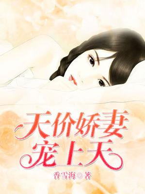 天价娇妻宠上天免费阅读全文缩略图