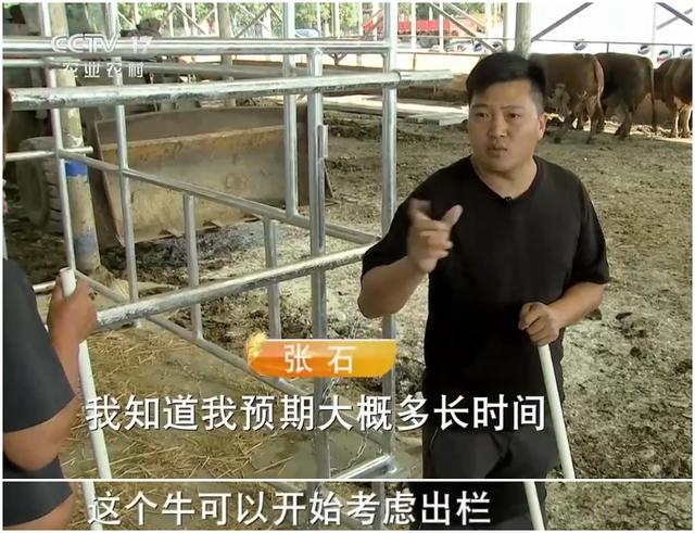 养牛赚钱3500缩略图