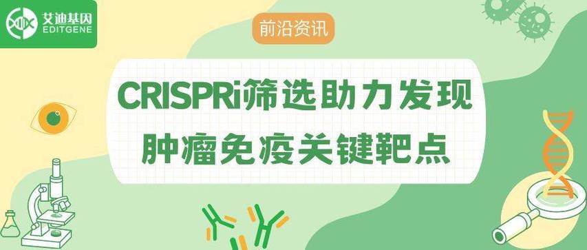 手机上怎样关闭热点资讯缩略图
