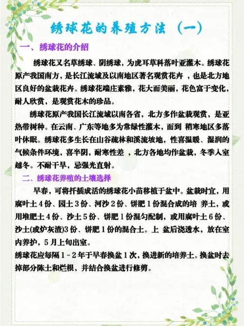 养绣球花的技巧与方法缩略图
