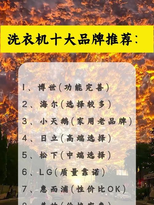 中国洗衣机十大品牌排行榜游戏截图