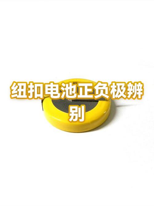 纽扣电池的正负极怎么区分游戏截图