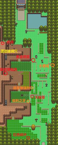 pokemmo神奥全程攻略游戏截图