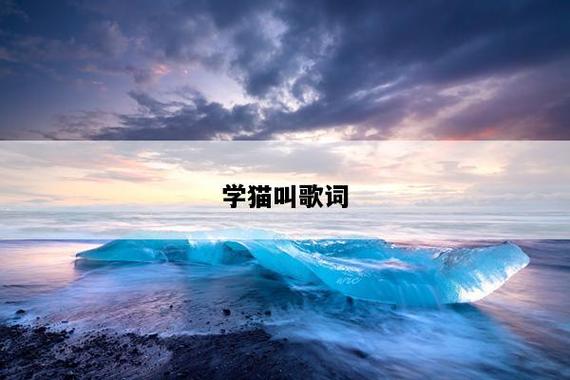 学猫叫歌曲原唱歌词缩略图