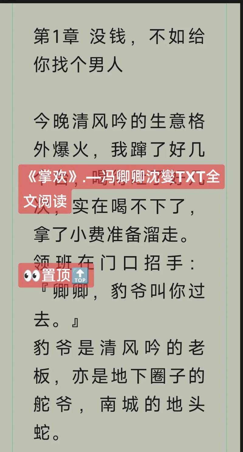 掌欢全文免费阅读最新章节游戏截图