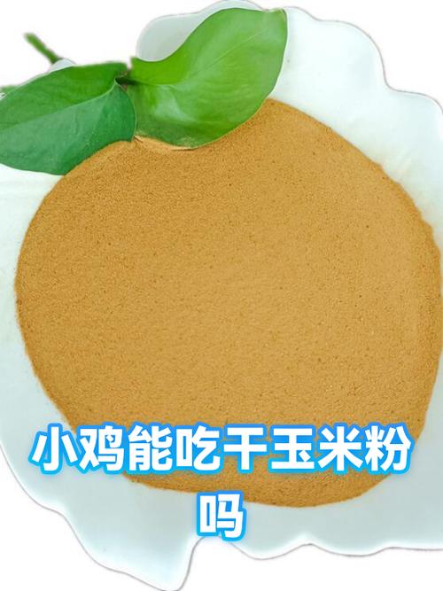 蚂蚁庄园三只小鸡能吃多久缩略图