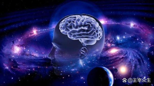 人脑一天消耗多少能量缩略图