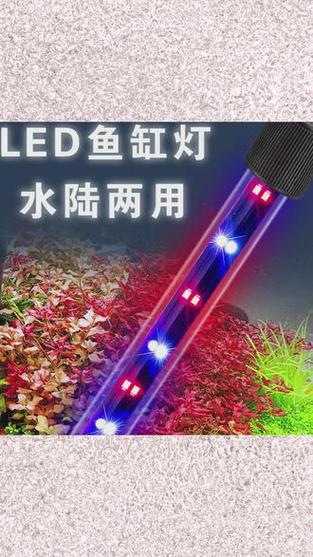 鱼缸灯品牌十大排名游戏截图
