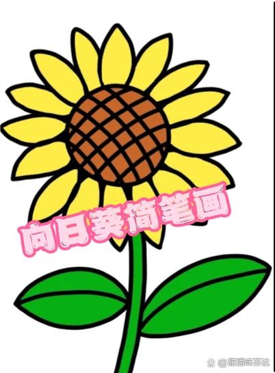 向日葵简易版缩略图