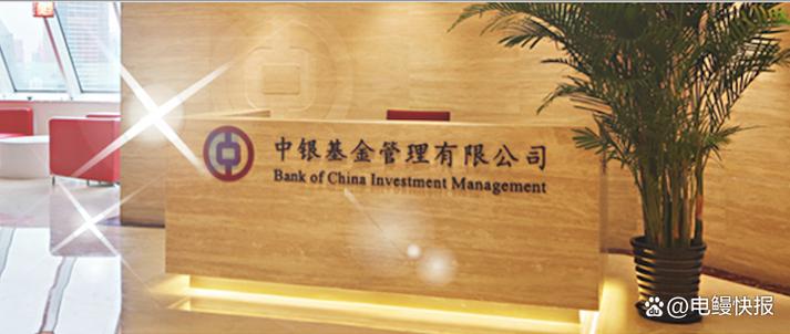 中银基金官网首页游戏截图