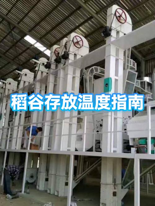 稻谷放了十年还能吃吗游戏截图