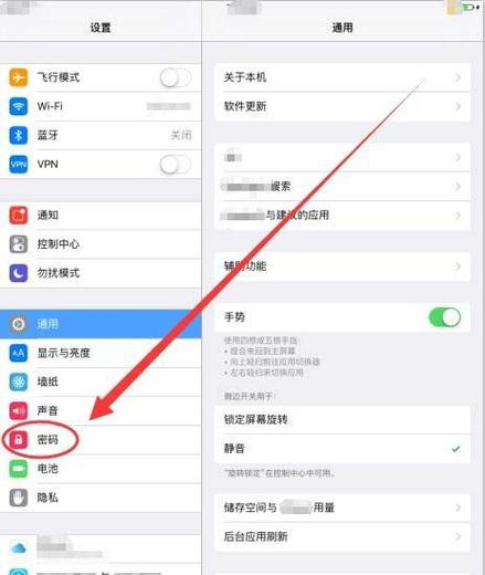 苹果ipad的防误触功能在哪里设置缩略图