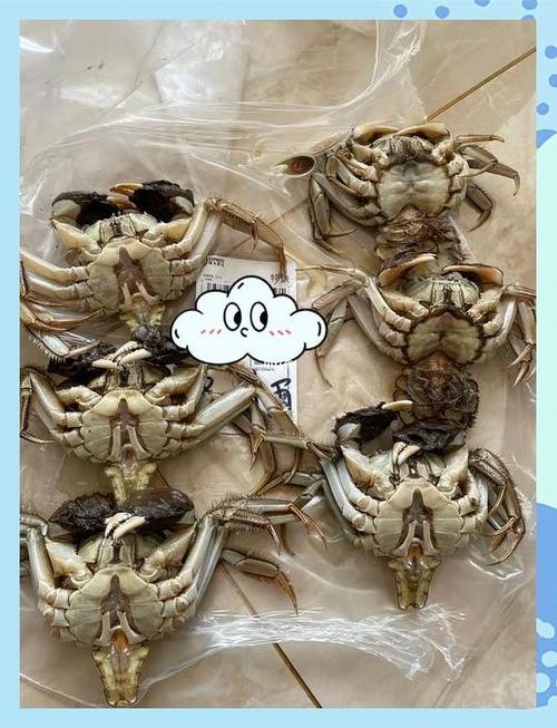 死了的螃蟹能吃吗缩略图