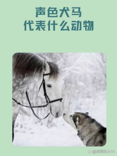 养狗达人领红包游戏截图