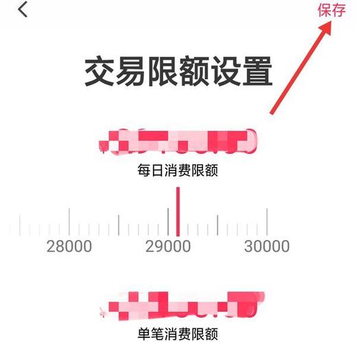 农行借记卡云闪付限额游戏截图