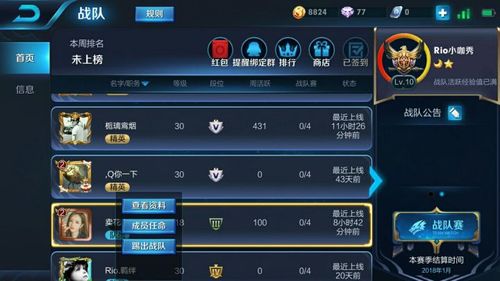 王者荣耀组队消费怎么踢人游戏截图