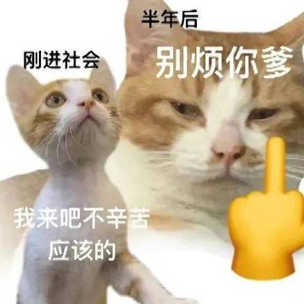 做大做强表情包缩略图