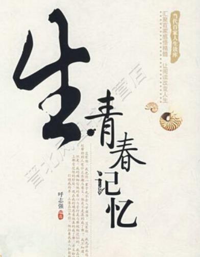 大s小s年轻时候照片缩略图