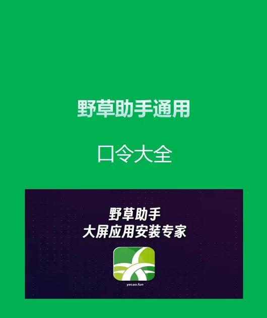 野草长效口令大全缩略图