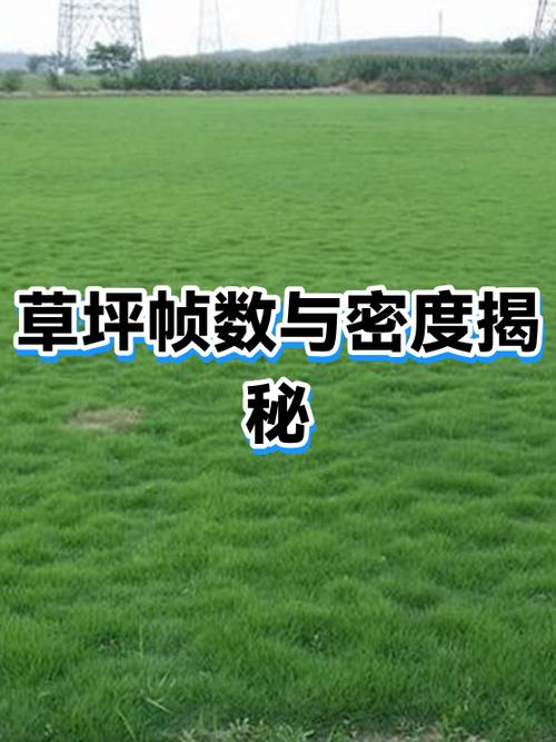90帧和120帧有什么区别缩略图