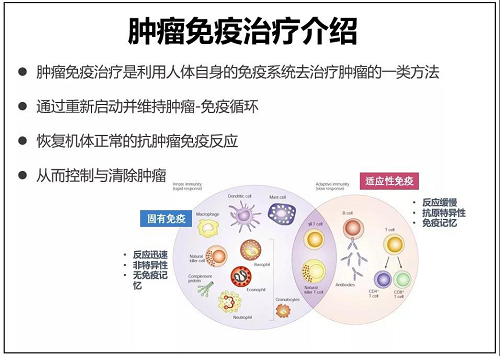 免疫治疗肿瘤效果好吗缩略图
