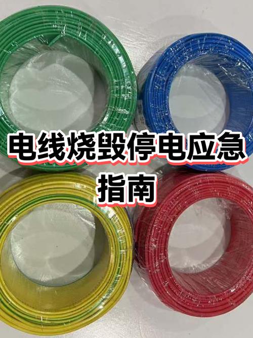 插头烧了怎么家里全部停电了游戏截图