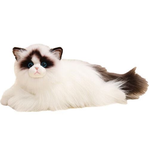 布偶猫玩偶缩略图