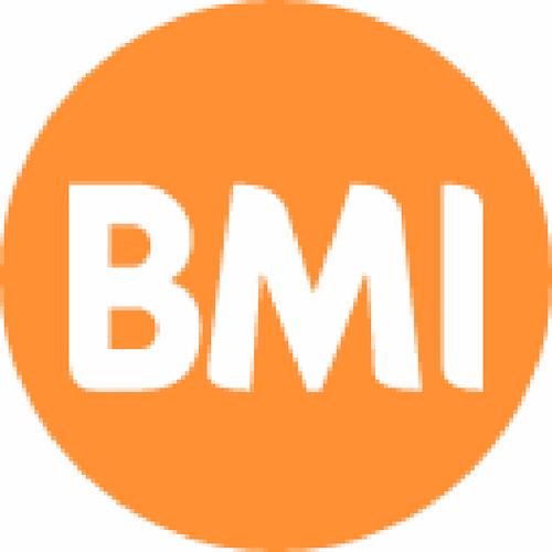 体质指数bmi计算器游戏截图