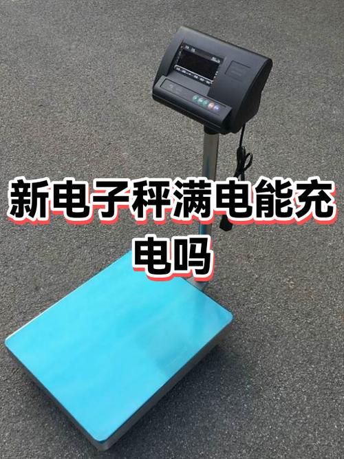 电子秤充电几个小时充满游戏截图