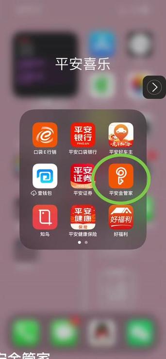 平安金管家app下载安装最新版本游戏截图
