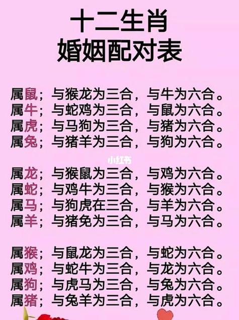 12生肖最佳夫妻配对缩略图