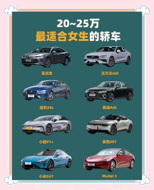 二十几万买什么车比较好游戏截图