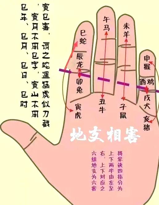 12生肖婚配配对表缩略图