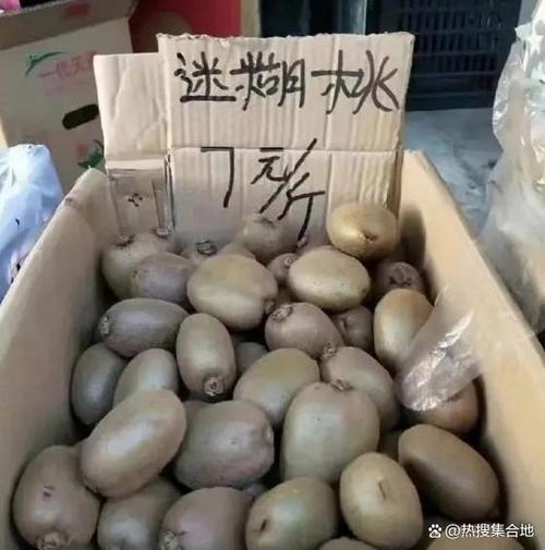 水果谐音梗的来源缩略图