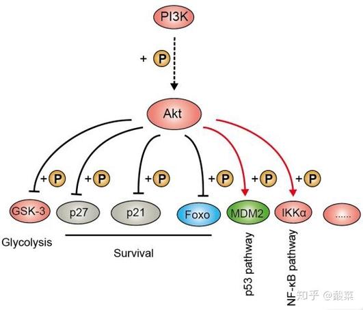 pop3是什么游戏截图