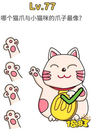 脑洞大师77缩略图