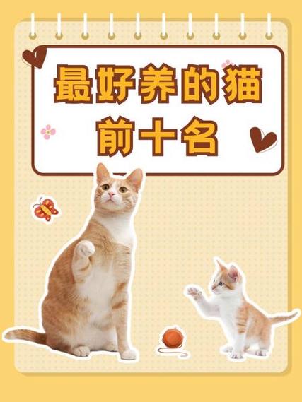 比较好养的猫缩略图